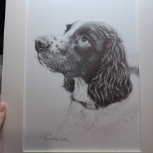 Commission for a friend, Cooper the Springer Spaniel x2. Pencil Drawing, Drawing, Portrait Drawing, Realistic Drawing, and Artistic Drawing project by Lisa Dunne - 12.22.2023