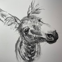 My project for course: Animal Illustration with Charcoal and Ink. Un progetto di Belle arti, Disegno, Illustrazione con inchiostro e Illustrazione naturalistica di Sabine Nimz - 01.03.2024