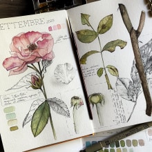 Progetto personale: Diario botanico . Watercolor Painting, Botanical Illustration, Sketchbook, and Naturalistic Illustration project by Roberta Nozza - 03.07.2024