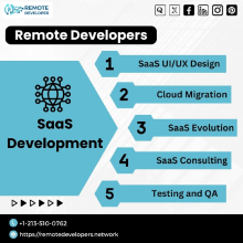 SaaS Software. Programming, Web Design, Web Development, and Mobile Design project by remotedevelopers_network - 03.08.2024