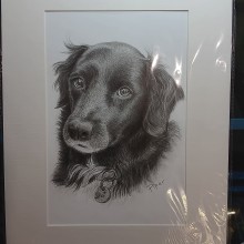 Dog Portrait with matt graphite on hot pressed water colour paper. Traditional illustration, Pencil Drawing, Drawing, Portrait Drawing, Realistic Drawing, Artistic Drawing, Figure Drawing, and Naturalistic Illustration project by Lisa Dunne - 03.10.2024