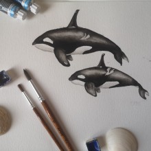 Mi proyecto del curso: Técnicas de ilustración naturalista: ballenas en acuarela. Un projet de Beaux Arts, Peinture, Aquarelle et Illustration naturaliste de kibomoma - 13.03.2024