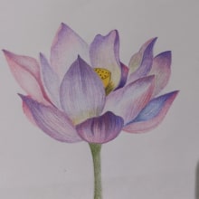 trazos de color. Un proyecto de Dibujo a lápiz, Ilustración botánica y Dibujo con lápices de colores de Gise Moyano - 20.03.2024