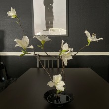 Ikebana. Design floral e vegetal projeto de Yukiji Denton - 24.03.2024