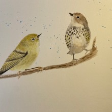 My project for course: Artistic Watercolor Techniques for Illustrating Birds. Traditional illustration, Watercolor Painting, Realistic Drawing, and Naturalistic Illustration project by keelannaasz - 03.28.2024