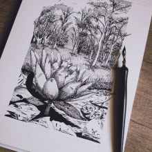 My project for course: Dip Pen and Ink Illustration: Capturing The Natural World. Sketching, Drawing, Artistic Drawing, Sketchbook, Ink Illustration, and Naturalistic Illustration project by Eliana Patricia Gómez Rodríguez - 03.28.2024