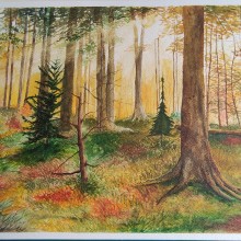Il mio progetto del corso: Bosco in autunno. Photograph, Painting, and Watercolor Painting project by paozanat - 03.30.2024
