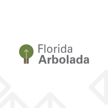 Florida Arbolada. Advertising, Motion Graphics, Br, ing, Identit, Editorial Design, Graphic Design, Social Media, Audiovisual Production, Mobile Photograph, Video Editing, Filmmaking, Communication, Br, and Strateg project by Joaquín Javiel - 11.12.2023