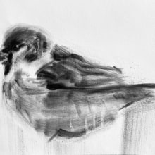 My project for course: Expressive Drawing with Charcoal. Un proyecto de Bellas Artes, Dibujo, Dibujo de Retrato e Ilustración naturalista				 de Leonie van Passel - 02.04.2024
