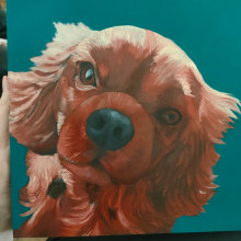 My project for course: Realistic Pet Portraits with Oil Painting. Fine Arts, Oil Painting, and Naturalistic Illustration project by amyjaniczak - 04.04.2024