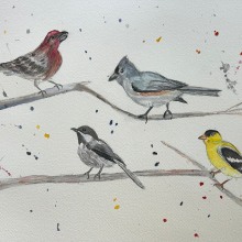 My project for course: Artistic Watercolor Techniques for Illustrating Birds. Ilustração tradicional, Pintura em aquarela, Desenho realista e Ilustração naturalista projeto de Lesa Crisp - 04.04.2024