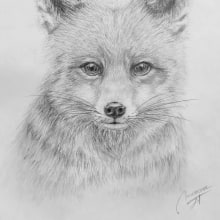 Mi proyecto del curso: Dibujo naturalista de animales con grafito. Un proyecto de Ilustración tradicional, Dibujo a lápiz, Dibujo e Ilustración naturalista				 de Miriam JT - 12.04.2024