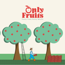 Only Fruits Brand Identity and packaging. Un proyecto de Diseño, Br, ing e Identidad, Packaging e Ilustración digital de madalinamitroi - 01.03.2024