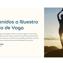 Studio de Yoga. Advertising, Installations, Br, ing, Identit, Events, Marketing, Social Media, Creativit, Digital Marketing, Instagram, Content Marketing, Instagram Marketing, Br, and Strateg project by Nicole Werlang - 04.17.2024
