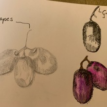 My project for course: Botanical Illustration: From Notebook to Print. Esboçado, Desenho, Ilustração botânica, Sketchbook e Ilustração com tinta projeto de nagyae99 - 19.04.2024