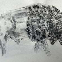 Mi proyecto del curso: Ilustración de animales con carboncillo y tinta. Un projet de Beaux Arts, Dessin, Illustration à l'encre et Illustration naturaliste de Elizabeth Posada - 25.04.2024