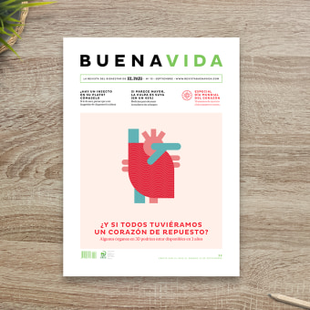 BuenaVida magazine Look & Feel . Un proyecto de Diseño editorial, Diseño gráfico y Diseño de la información de relajaelcoco - 31.08.2015