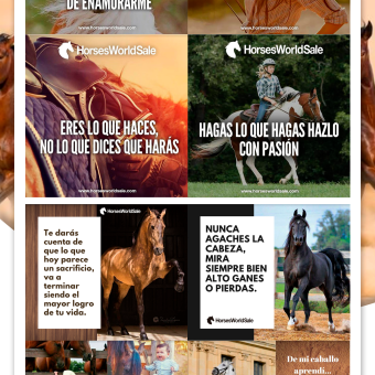 Social Media Horses World Sale imagenes Redes Sociales. Advertising, Br, ing, Identit, Graphic Design, Social Media, and Portfolio Development project by Freshmedia - 11.22.2018