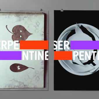 Serpentine Galleries Ein Projekt aus dem Bereich Design, Br, ing und Identität, Grafikdesign und Piktogramme von Marina Willer - 15.10.2021
