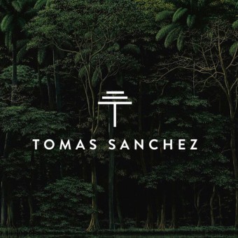Tomás Sánchez. Design, Br, ing & Identit project by Gitanos - 02.02.2022