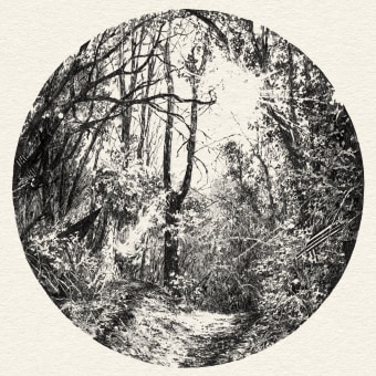 Forest Drawing. Fine Arts, Drawing & Ink Illustration project by Fujiko Rose - 11.13.2022