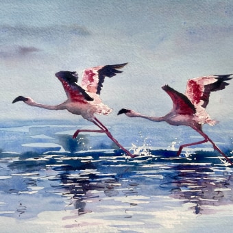 Join me in Morocco to paint flamingos 2024! Ein Projekt aus dem Bereich Aquarellmalerei von Sarah Stokes - 15.11.2023