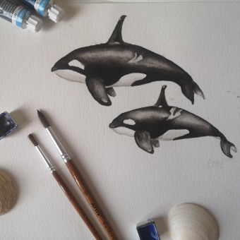 Mi proyecto del curso: Técnicas de ilustración naturalista: ballenas en acuarela. Un proyecto de Bellas Artes, Pintura, Pintura a la acuarela e Ilustración naturalista				 de kibomoma - 13.03.2024