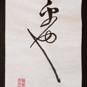 Fragmento de Zhao Ji, Mil caracteres clásicos, 30x20cm. Caligrafia projeto de Cesar Juan Jorda - 24.03.2024