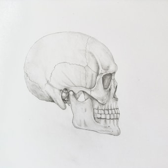 My project for course: Intro to Anatomy Drawing with Graphite Pencil. Un proyecto de Bellas Artes, Dibujo a lápiz, Dibujo, Dibujo realista y Dibujo anatómico de moneill27 - 18.03.2024
