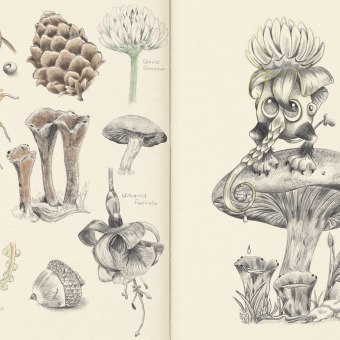 Mi proyecto del curso: Sketchbook de naturaleza fantástica: dibuja criaturas de otro mundo. Un proyecto de Dibujo a lápiz, Dibujo, Pintura a la acuarela, Sketchbook e Ilustración naturalista				 de Conny Akinboni - 15.04.2024