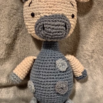 Meu projeto do curso: Amigurumi para iniciantes: teça animais em crochê. Un proyecto de Artesanía, Diseño de juguetes, Crochet, Amigurumi y Diseño textil de Dulce Figueiredo - 21.03.2024