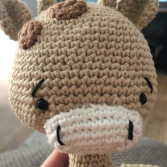 My project for course: Crocheting Amigurumi Animals for Beginners. Un proyecto de Artesanía, Diseño de juguetes, Crochet, Amigurumi y Diseño textil de Ylenia V - 18.04.2024