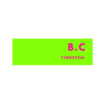 BC. the brand. Un proyecto de Diseño Web, Desarrollo Web, Marketing Digital, e-commerce, Desarrollo No-Code							 y Business de guarybarber20 - 21.04.2024