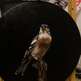 Mi proyecto del curso: Pintura al óleo para retrato naturalista de aves. Un progetto di Belle arti, Pittura, Pittura ad olio e Illustrazione naturalistica di Maria Trucco - 01.09.2022