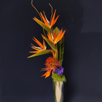 Creazione di bouquet di fiori da zero. Design floral e vegetal projeto de luce.raggio.76 - 15.04.2024