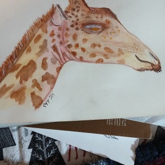 My project for course: Watercolor Illustration: Painting Realistic Wildlife. Un progetto di Belle arti, Pittura, Pittura ad acquerello e Illustrazione naturalistica di frogpatchct - 29.04.2024