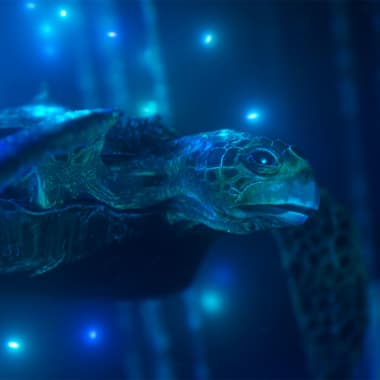 'Hybrid', un corto de animación para salvar los océanos