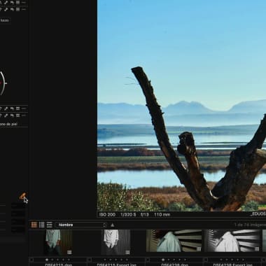 Tutorial Adobe Lightroom: ajustes básicos de revelado