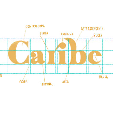 Typographic Anatomy: the Different Parts of a Letter