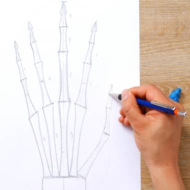 Tutorial Dibujo anatómico: cómo dibujar una mano
