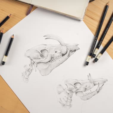 How to Preserve Pencil Drawings and Illustrations
