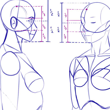 Tutorial Ilustração: conceitos básicos da anatomia feminina