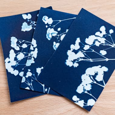 Cyanotype: Simple Materials to Print Images with Light 