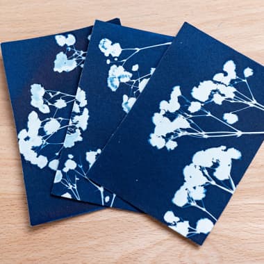 Cyanotype Tutorial: Printing with Leaves and Flowers