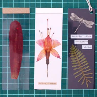 Tutorial DIY: cómo hacer separadores con la técnica de prensado botánico