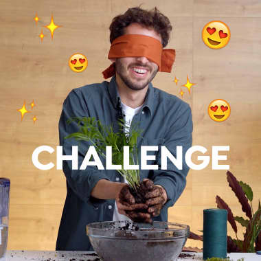 Challenge: Can You Make a Kokedama With Your Eyes Closed?