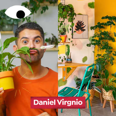 Daniel Virgnio, creador de contenidos y paisajista, en Diarios Domestika 