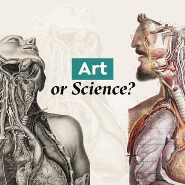 The History of Anatomical Drawing: How Illustrations Revolutionized Science 