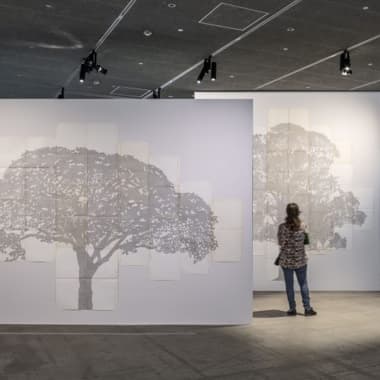 Por que as árvores inspiram tanto os artistas?