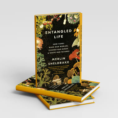 5 Top Books about Nature to Inspire Your ﻿﻿Creative Projects